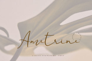 Ametrine: The Handwritten Font That Elevates Your Digital Branding