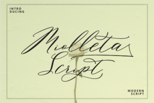 Choosing the Right Font: Miolleta Script for a Modern Web Design