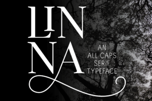 Linna: The Serif Font That Elevates Your Campaign Headlines