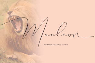 Maxleon: A Simple Font That Transformed My Brand's Look