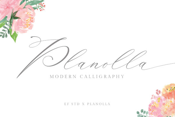 Planolla: A Delicate Script Font for Web Design