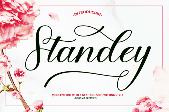 Standey: A Script Font for Elegant Editorial Design
